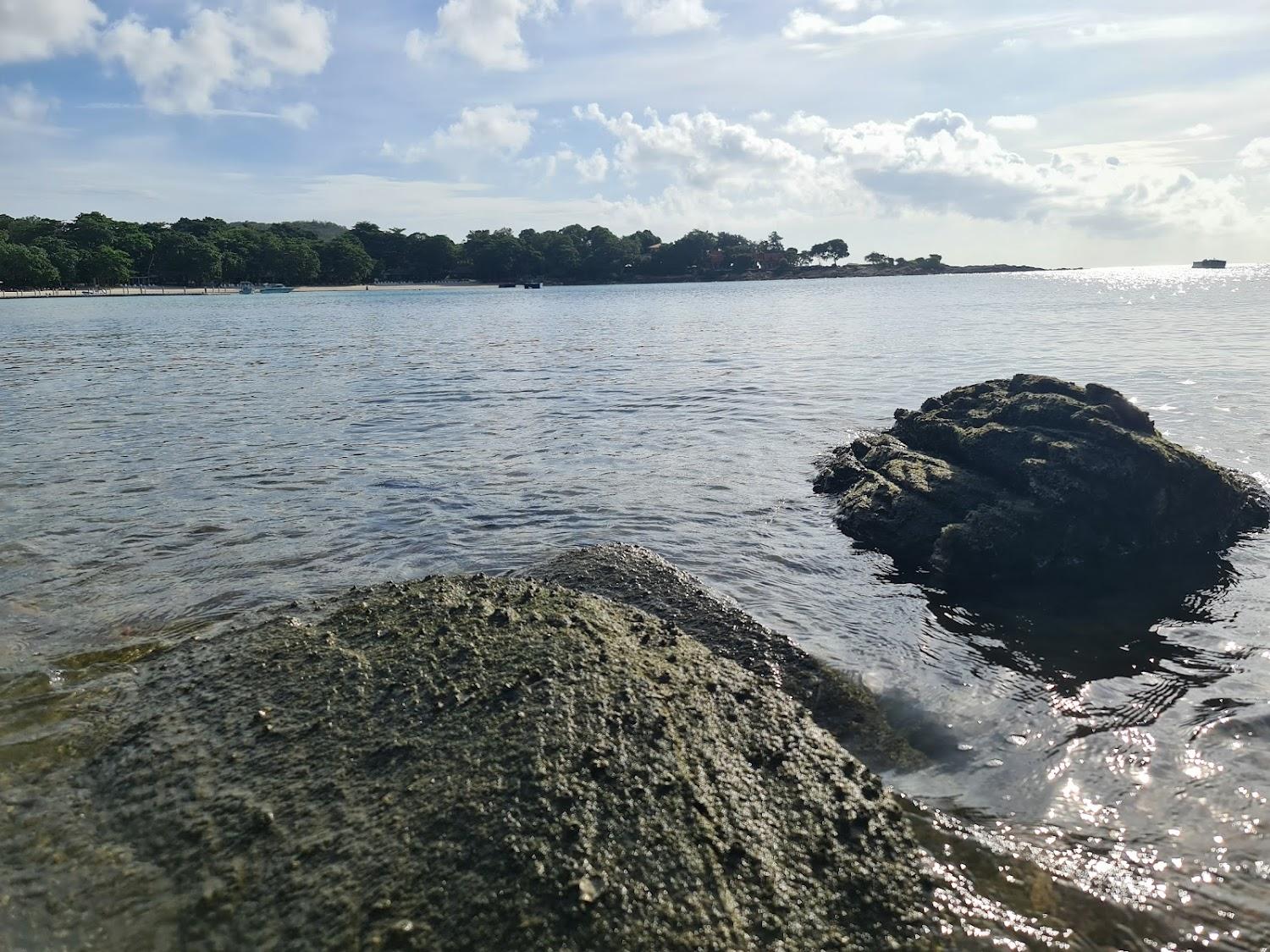 Cover Image for The C Samet Beach Resort