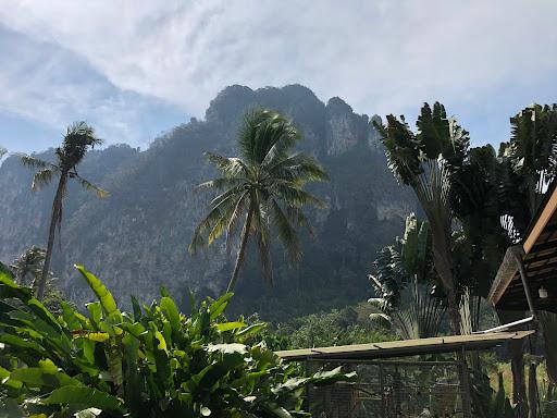 Cover Image for Aonang Paradise Resort Krabi