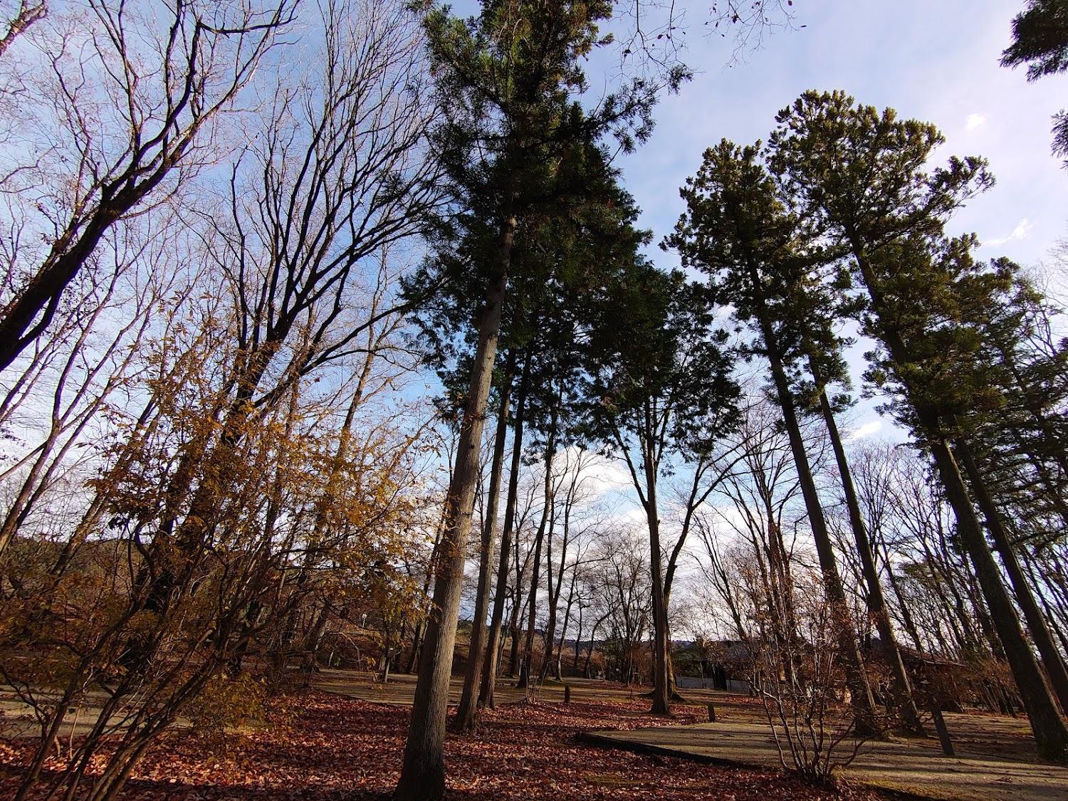 Cover Image for Nikko Daiyagawa Park Auto Camping Ground