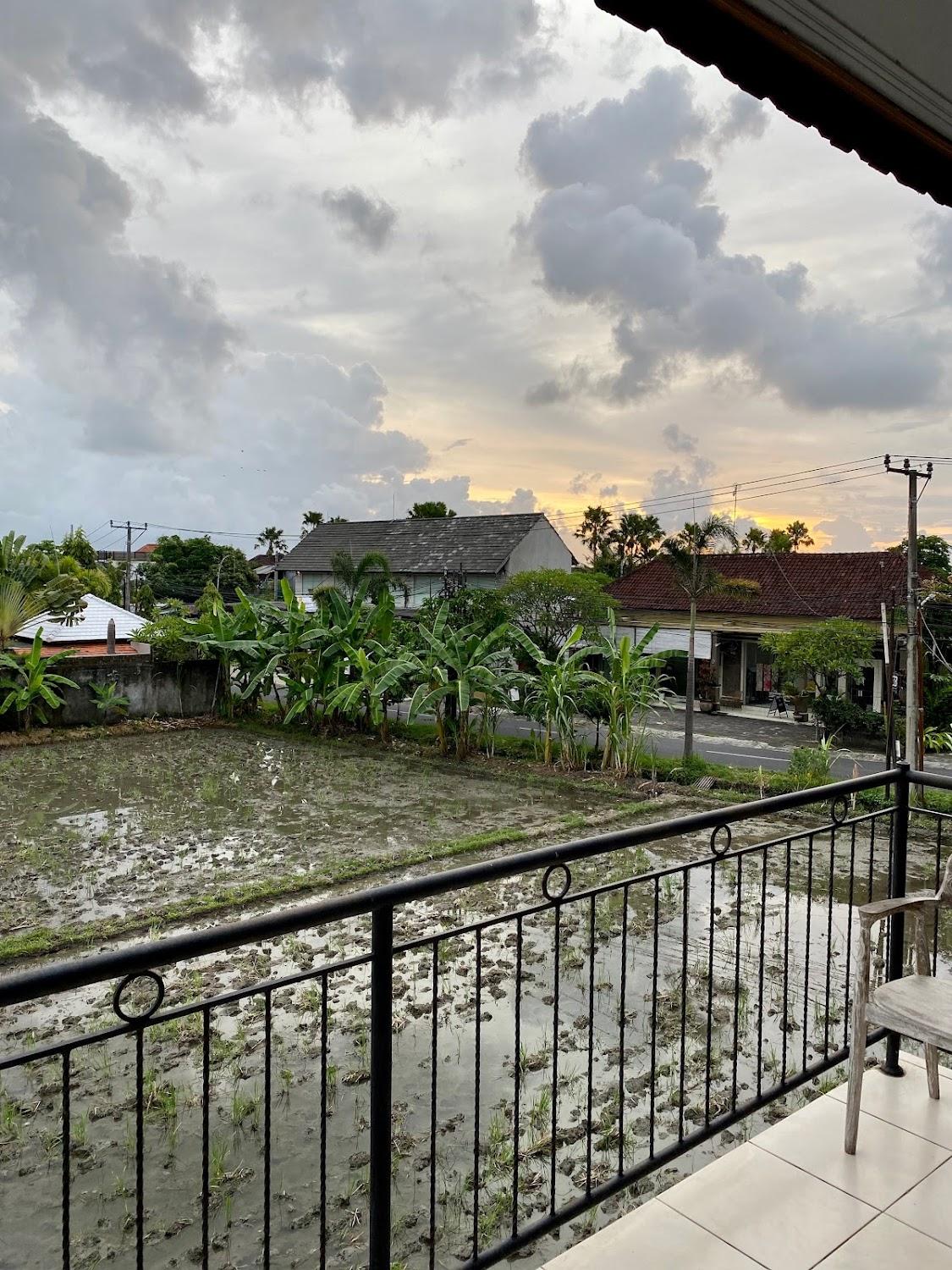 Cover Image for Curve House Umalas