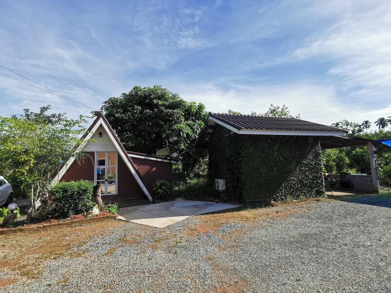 Cover Image for oasis motel chauat