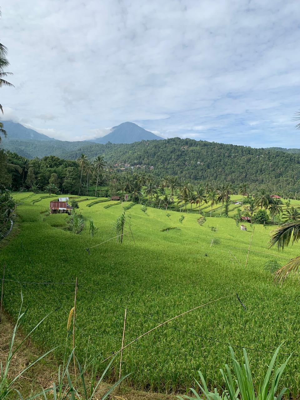 Cover Image for Bali Praya House