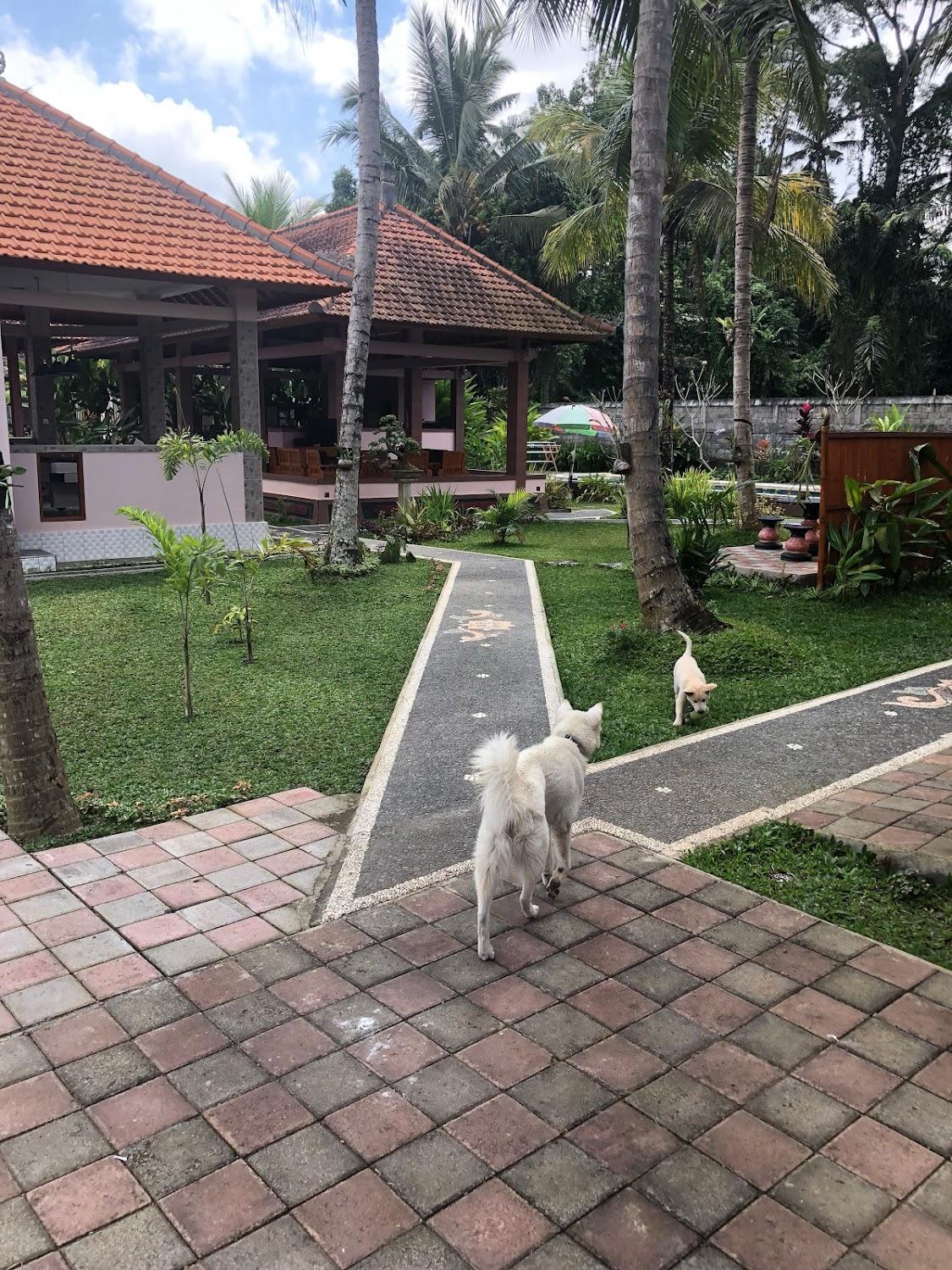 Cover Image for OUR BALI HOMESTAY