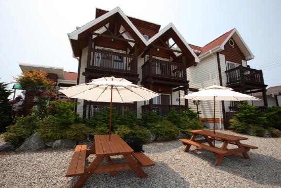 Cover Image for 행복한테라스펜션