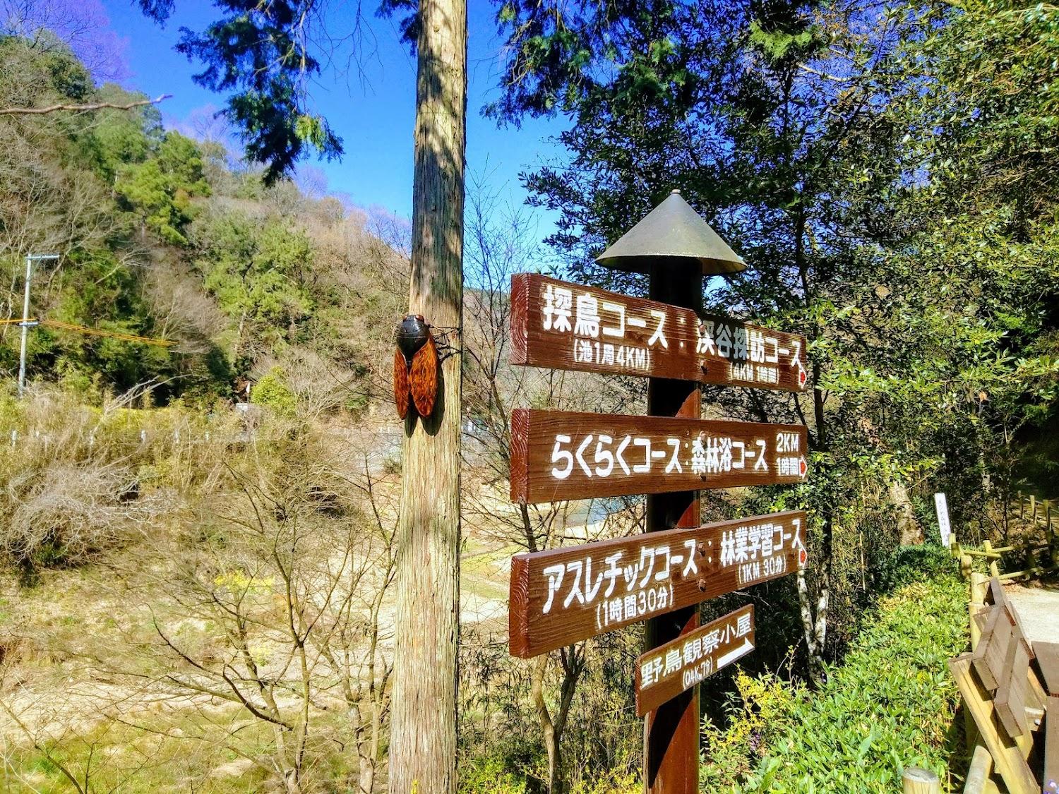 Cover Image for Ehime Forest Park Camping Ground