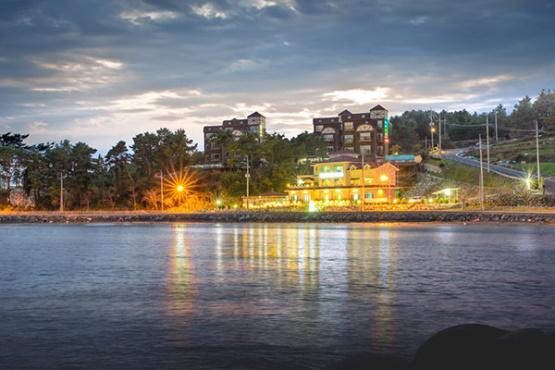 Cover Image for 솔향기은빛바다