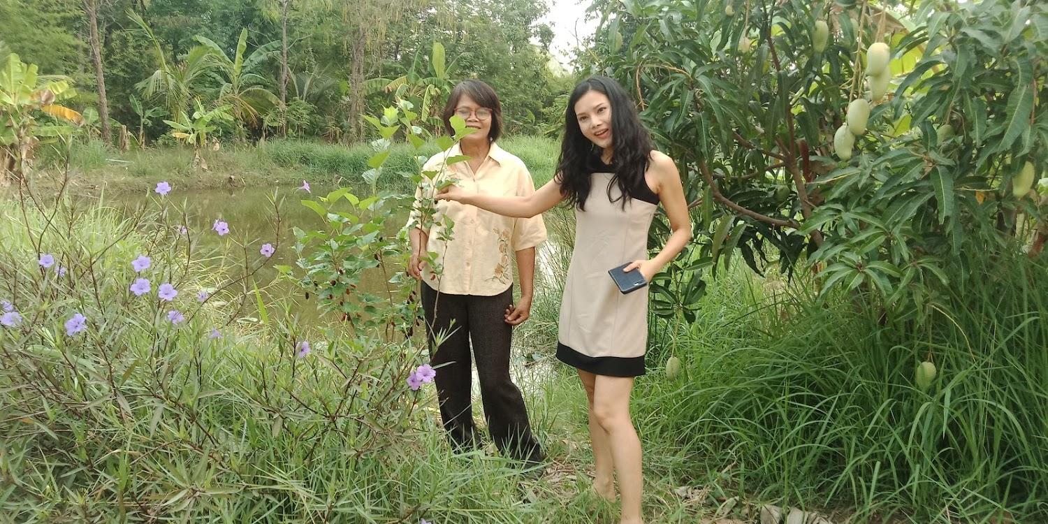 Cover Image for บ้านสวนบัว รีสอร์ท