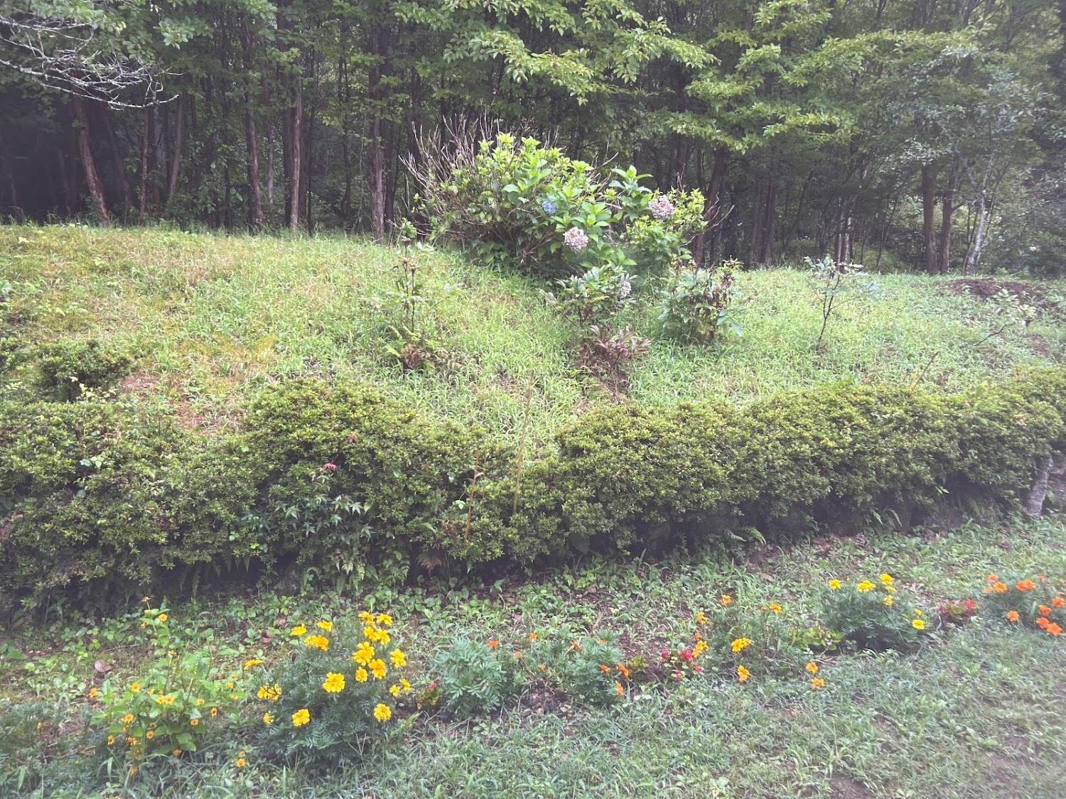 Cover Image for たちばな家