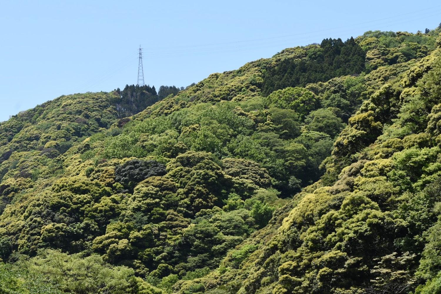Cover Image for Nishiizu Auto Camping Ground