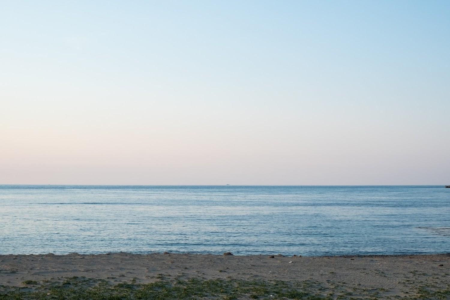 Cover Image for IPPEN