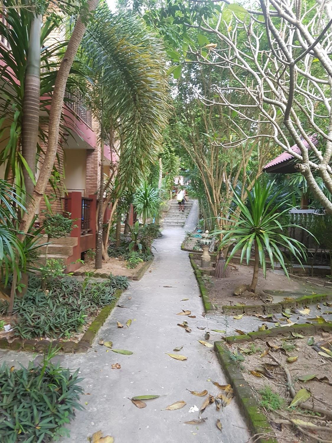 Cover Image for Jungle Huts