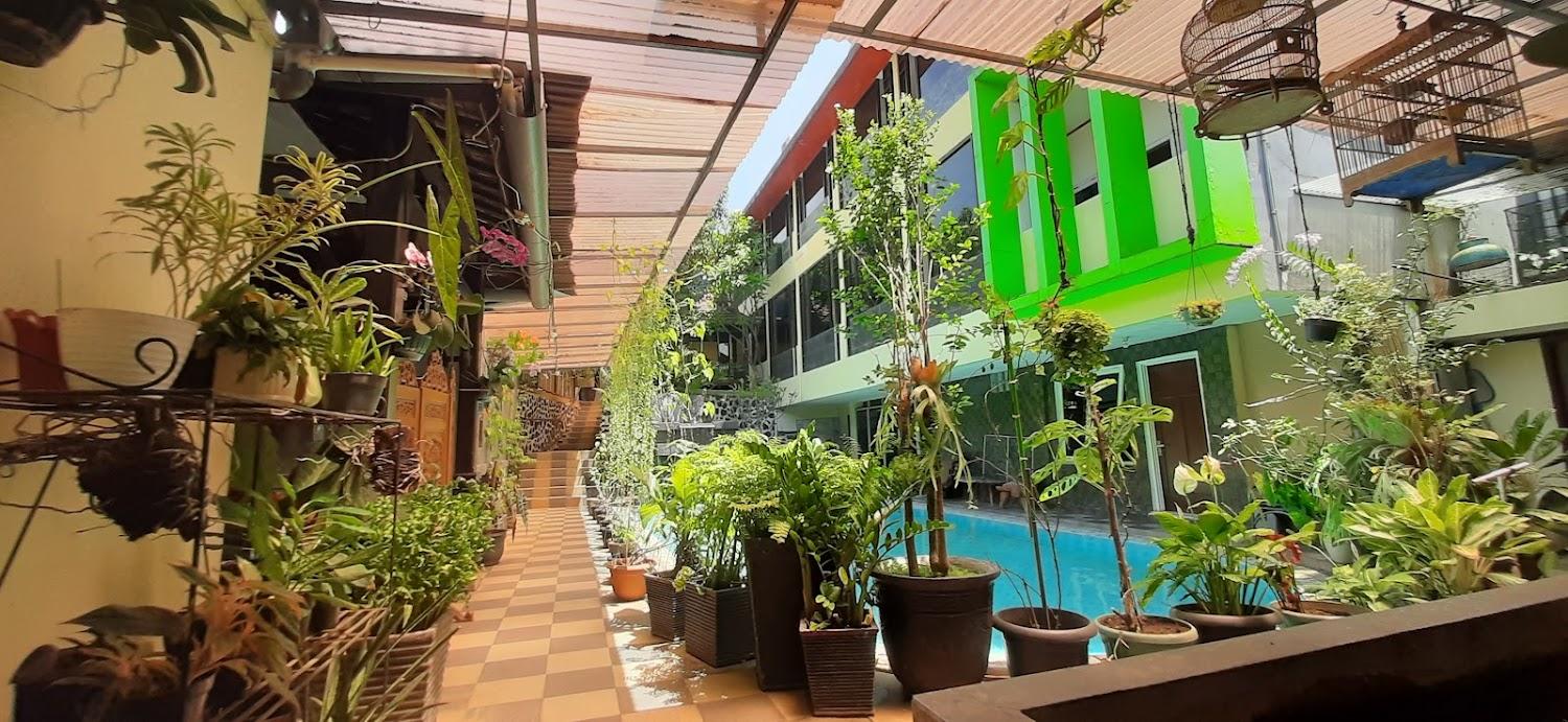 Cover Image for Hotel Wiena