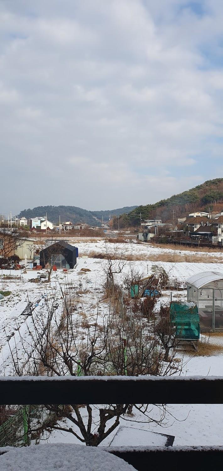 Cover Image for 미고펜션