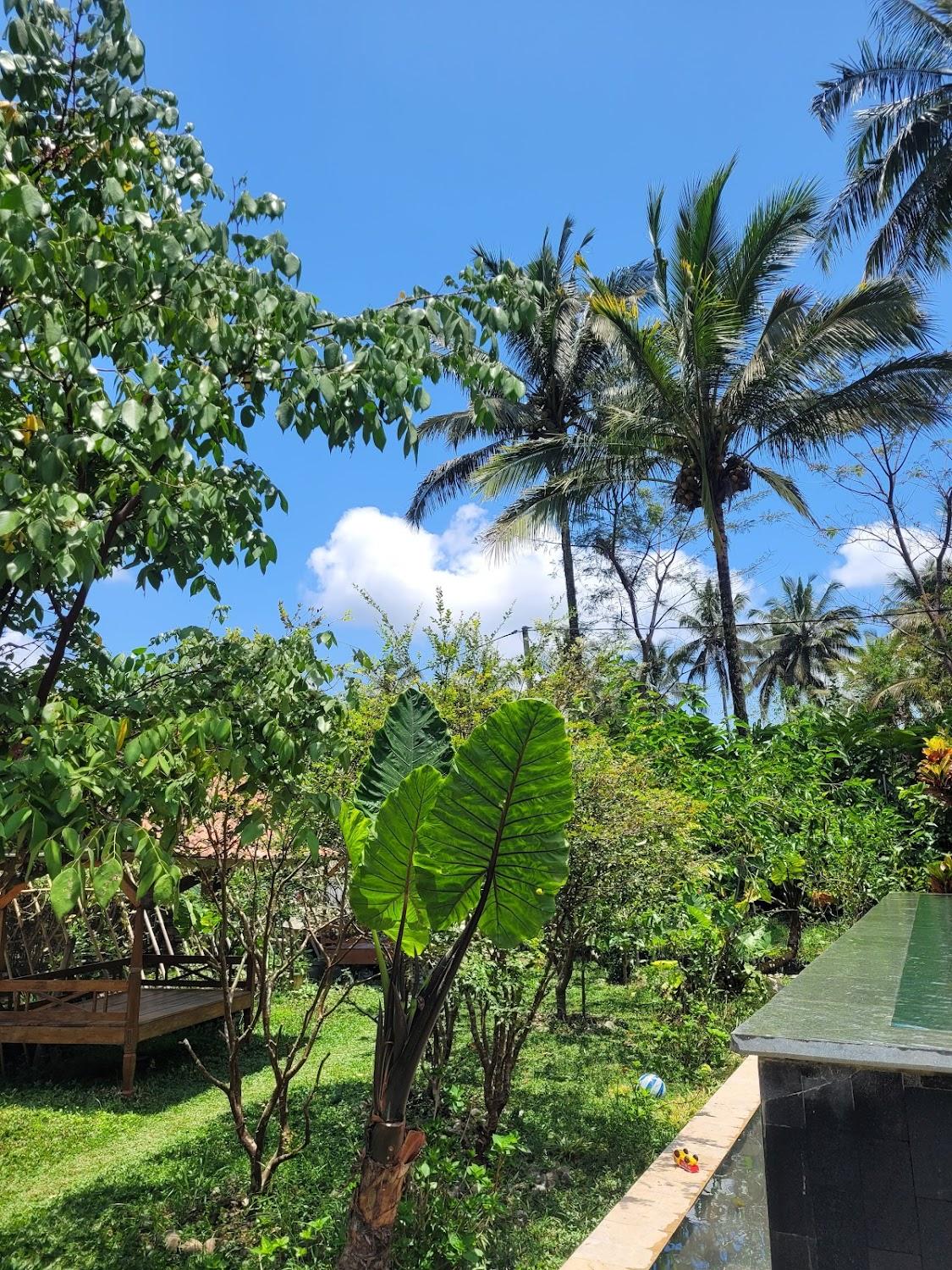 Cover Image for Pondok is oke
