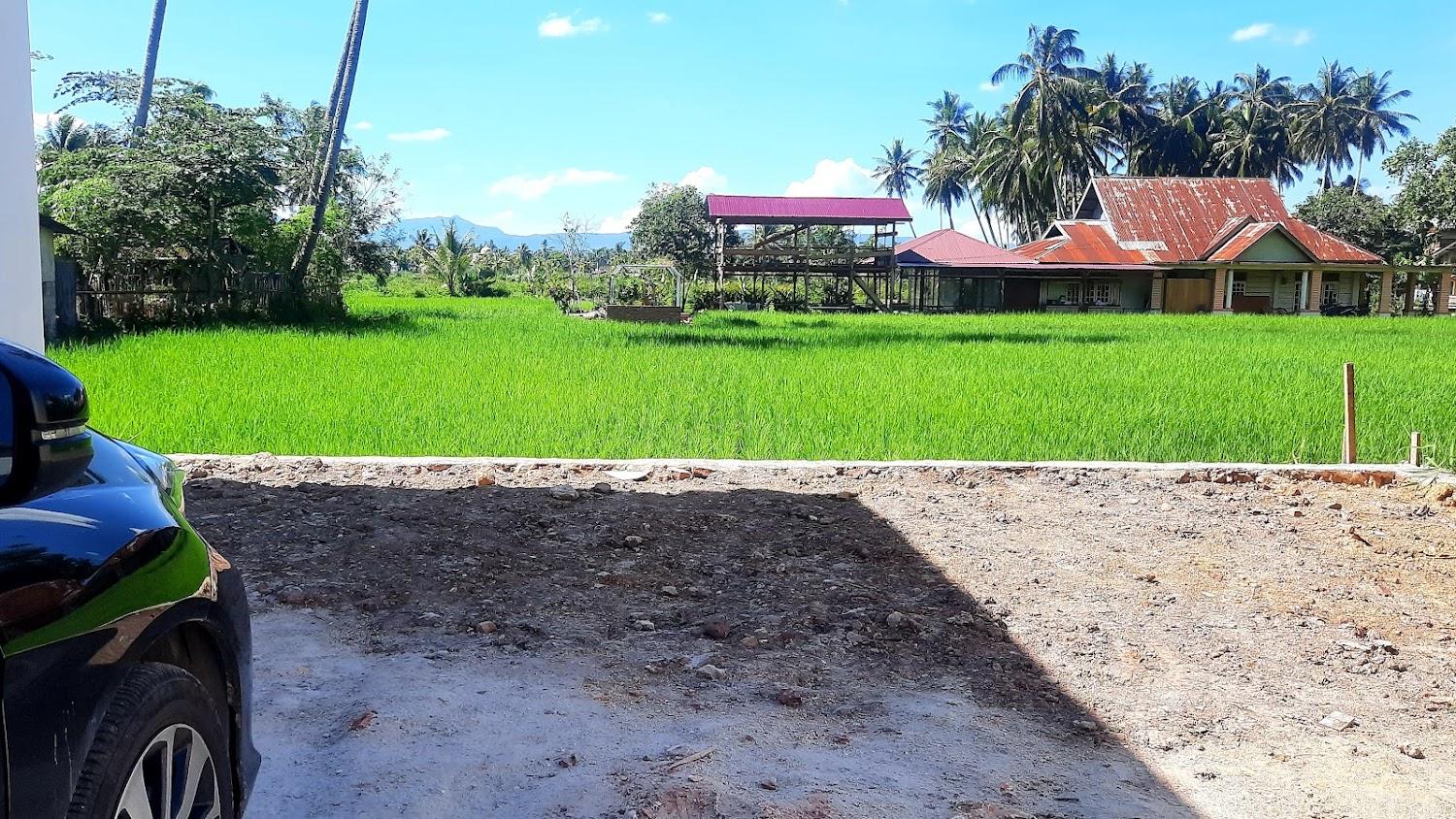 Cover Image for Wafaby Guest House Hotel Homestay