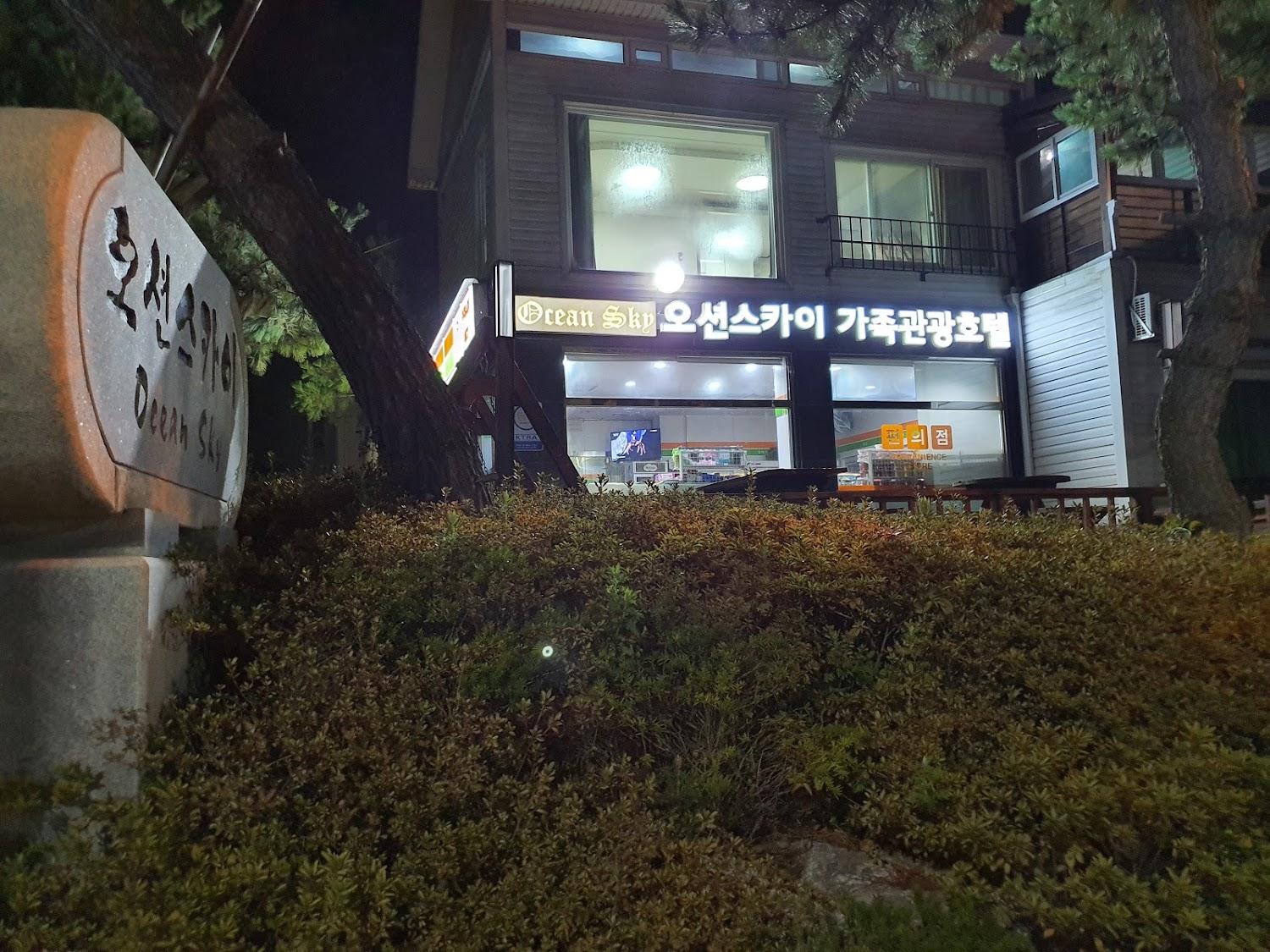Cover Image for 오션스카이