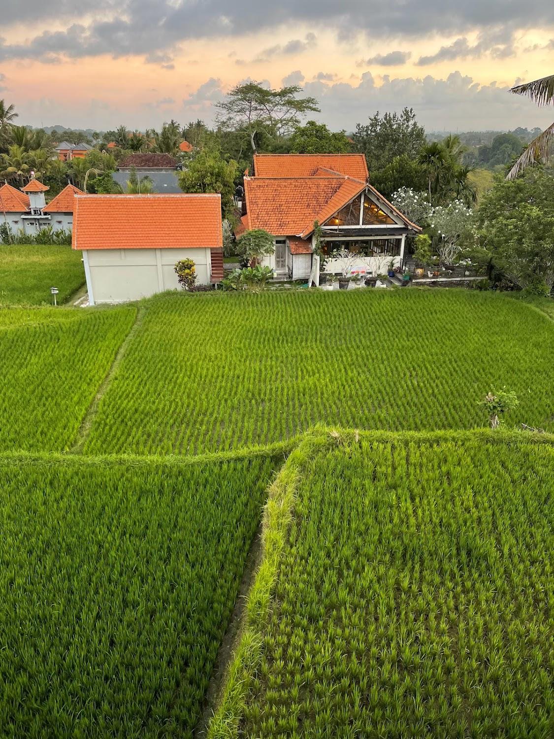 Cover Image for Nirwa Ubud Karma
