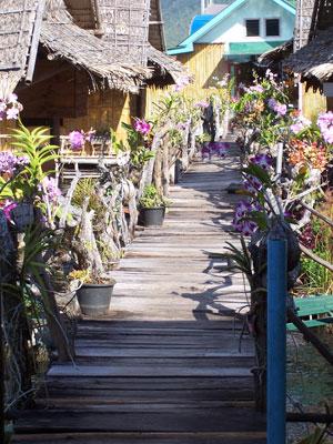 Cover Image for แพวิมานลอยน้ำ รีสอร์ท