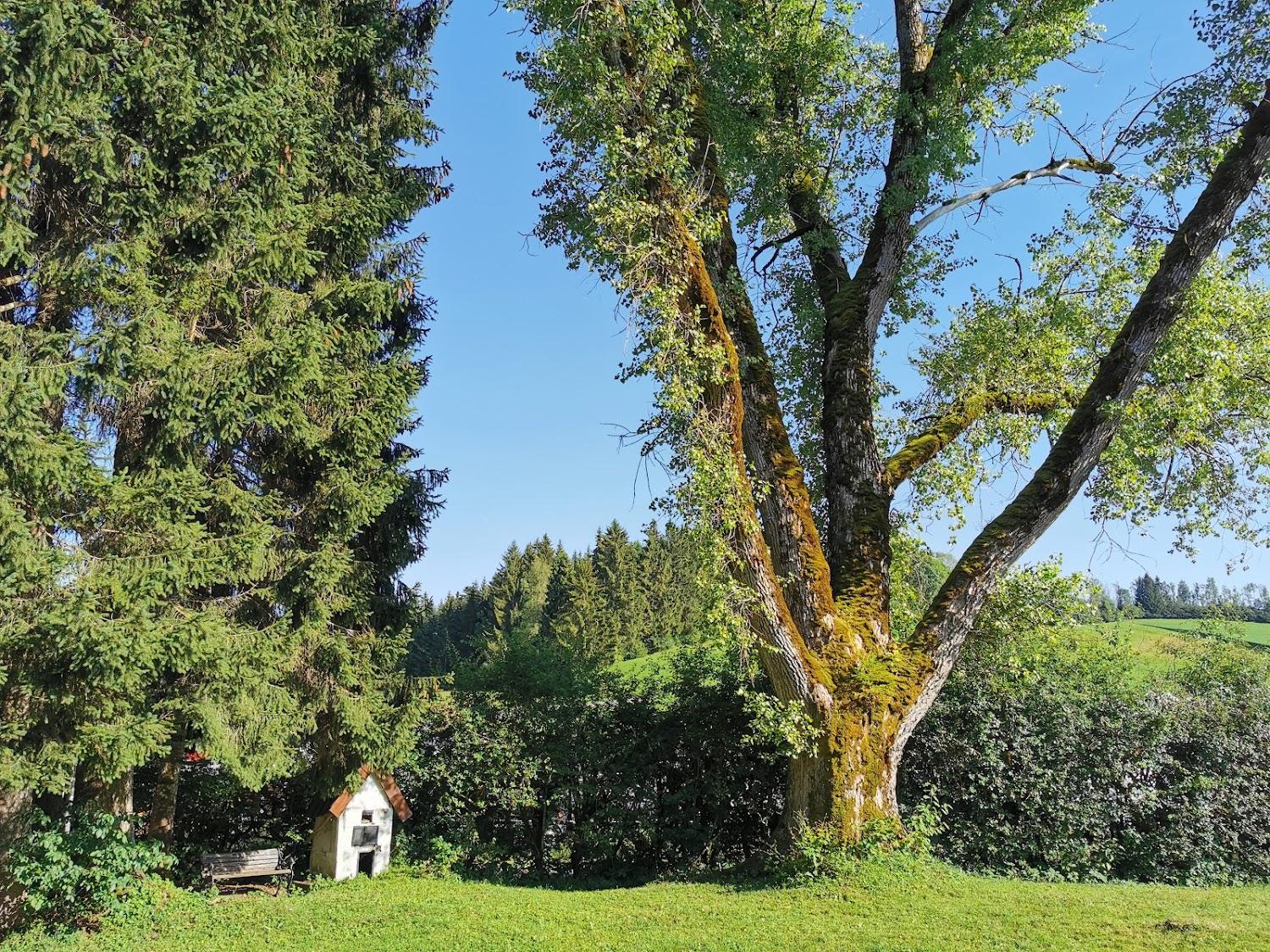 Cover Image for Landgut Ihlingshof