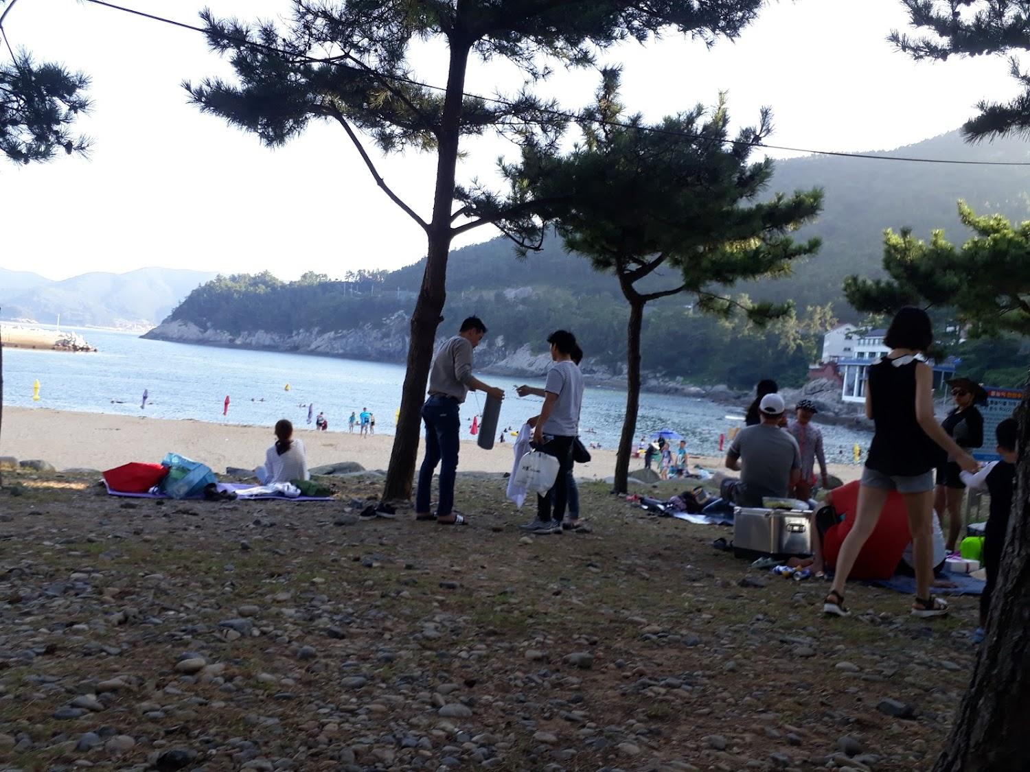 Cover Image for 베베올레키즈가족펜션