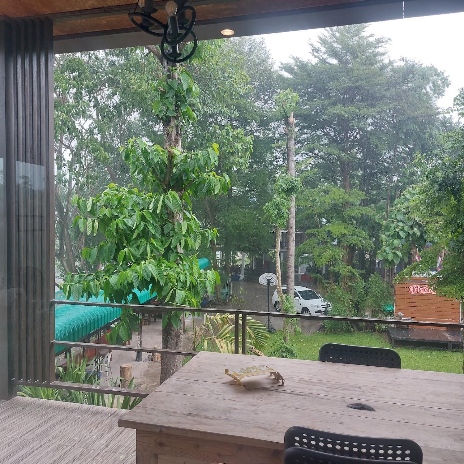 Cover Image for บ้านต้นข้าว ริมน้ำ