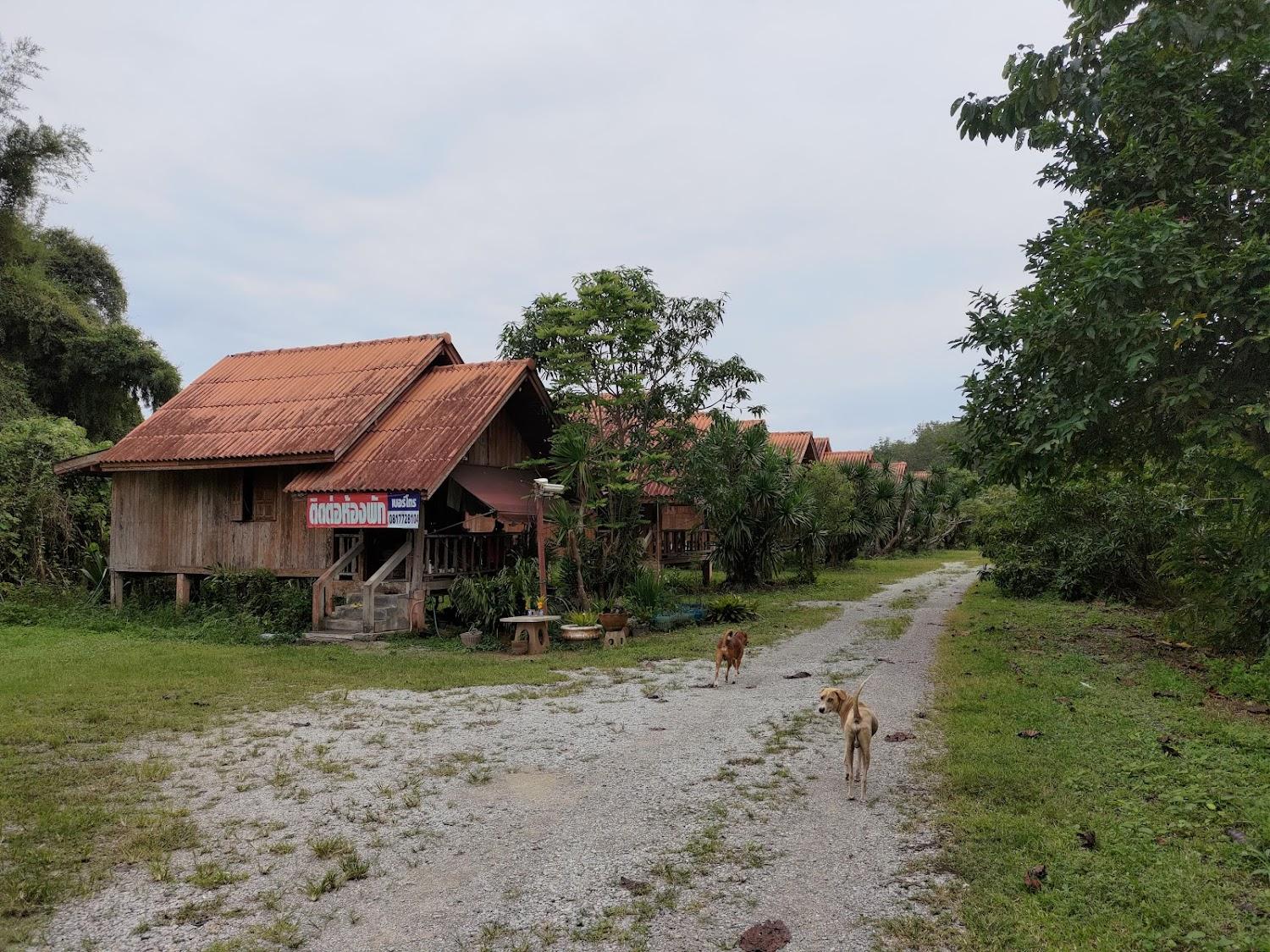 Cover Image for บิ๊กแอ๊ดปาล์มฮิลล์รีสอร์ท (Big@palmhill resort)