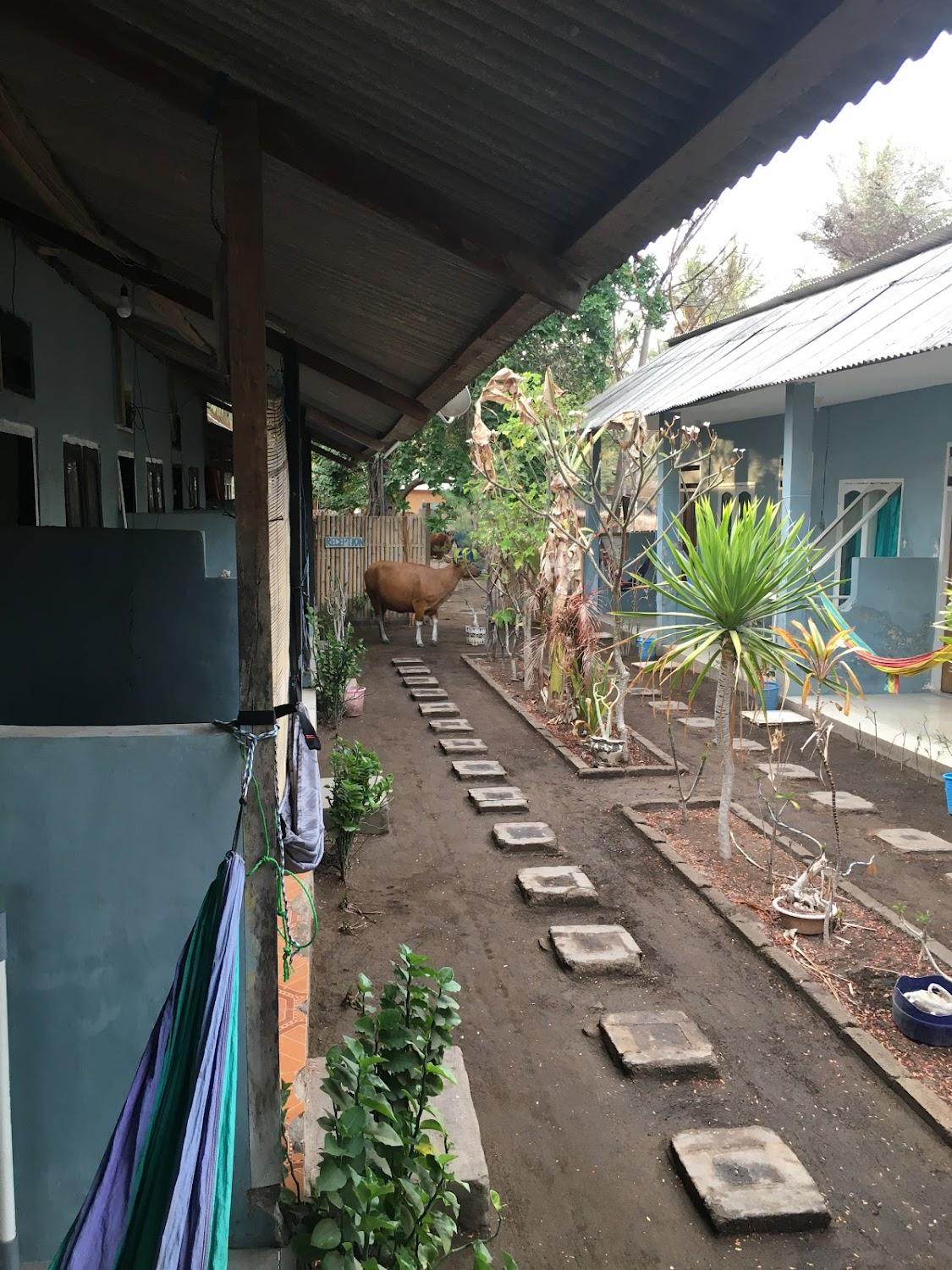 Cover Image for Pondok Mariana