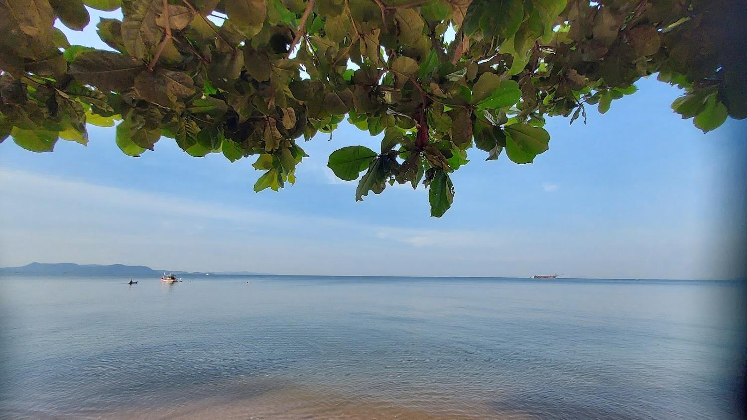 Cover Image for Sea Falcon Beachside Hotel & Restaurant