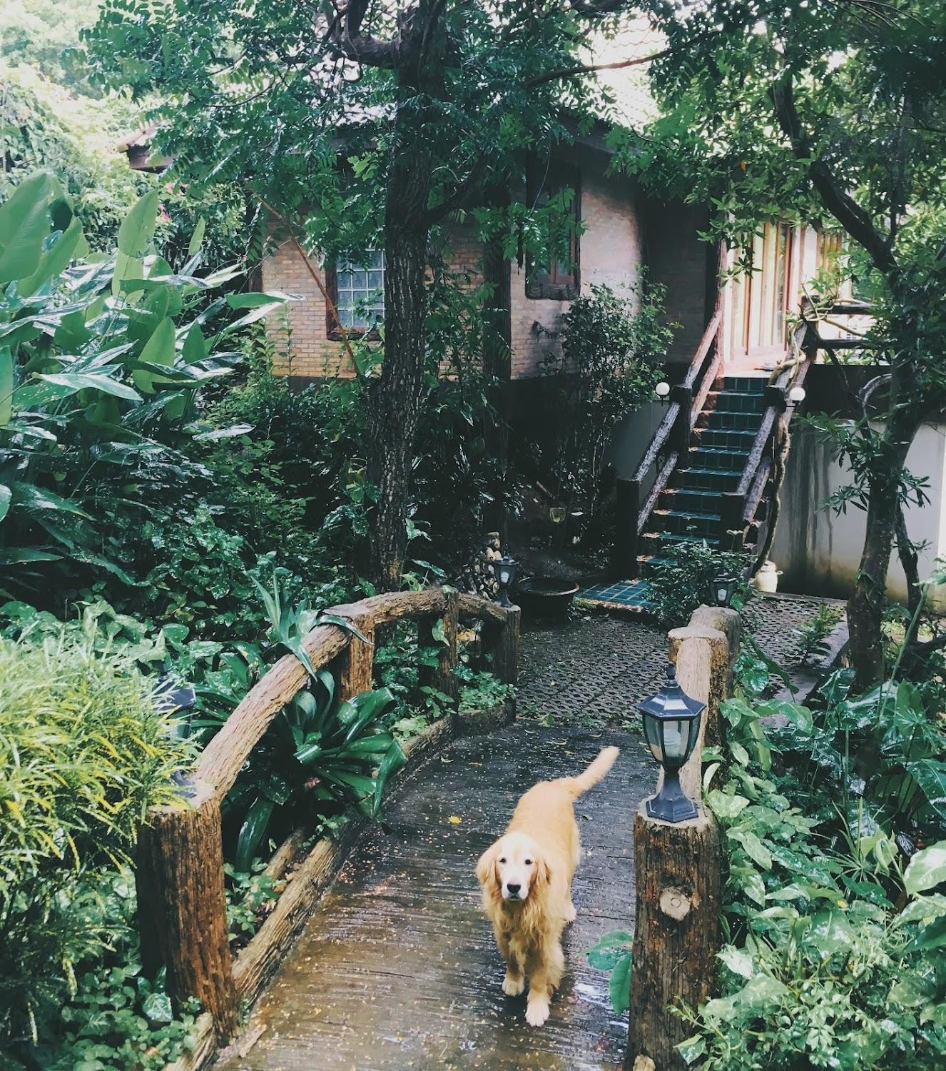Cover Image for Mountain See 山見