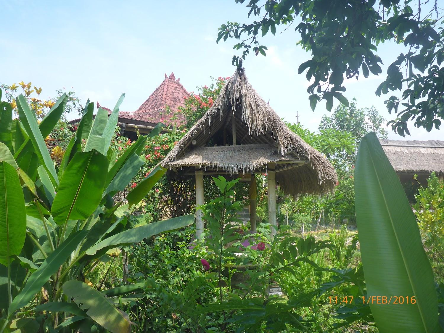 Cover Image for Pondok Bali Ubud