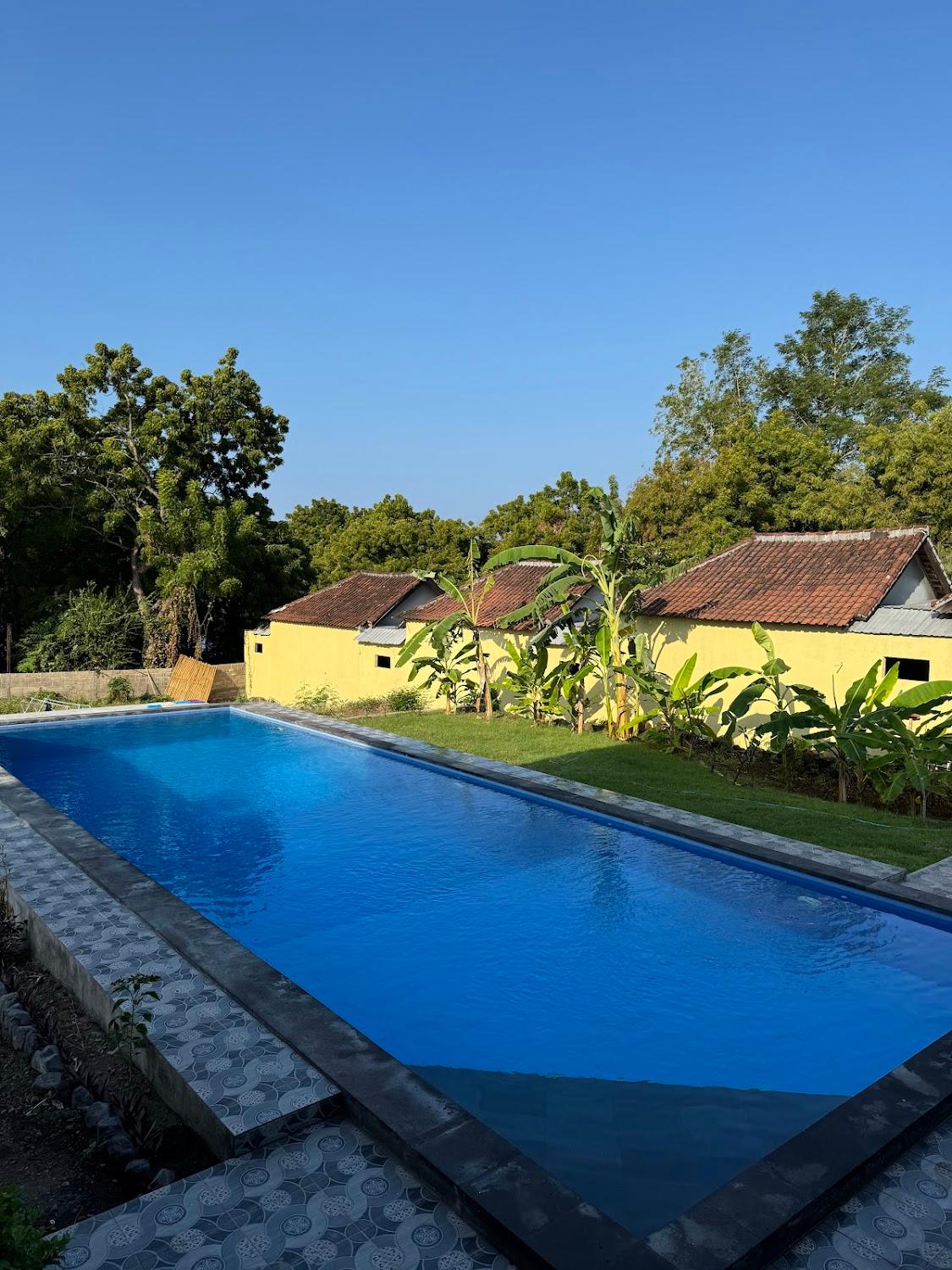 Cover Image for Scuba Tribe Bali dive-resort