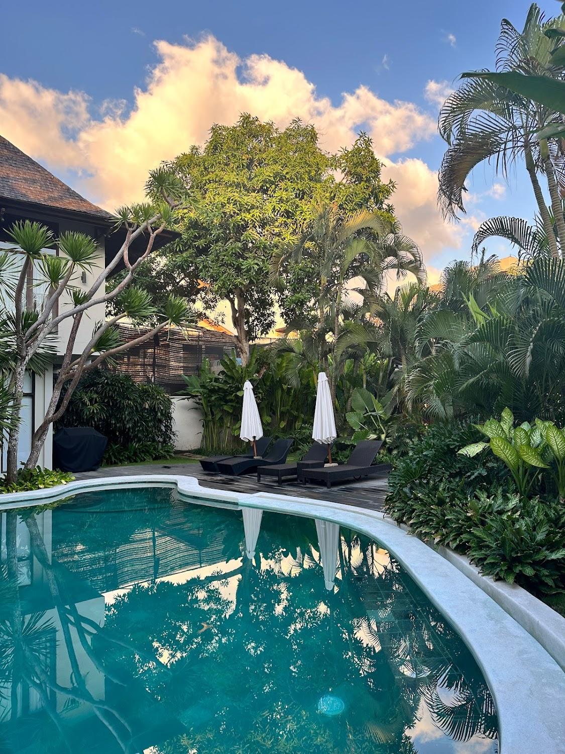 Cover Image for Wave House Surf Camp
