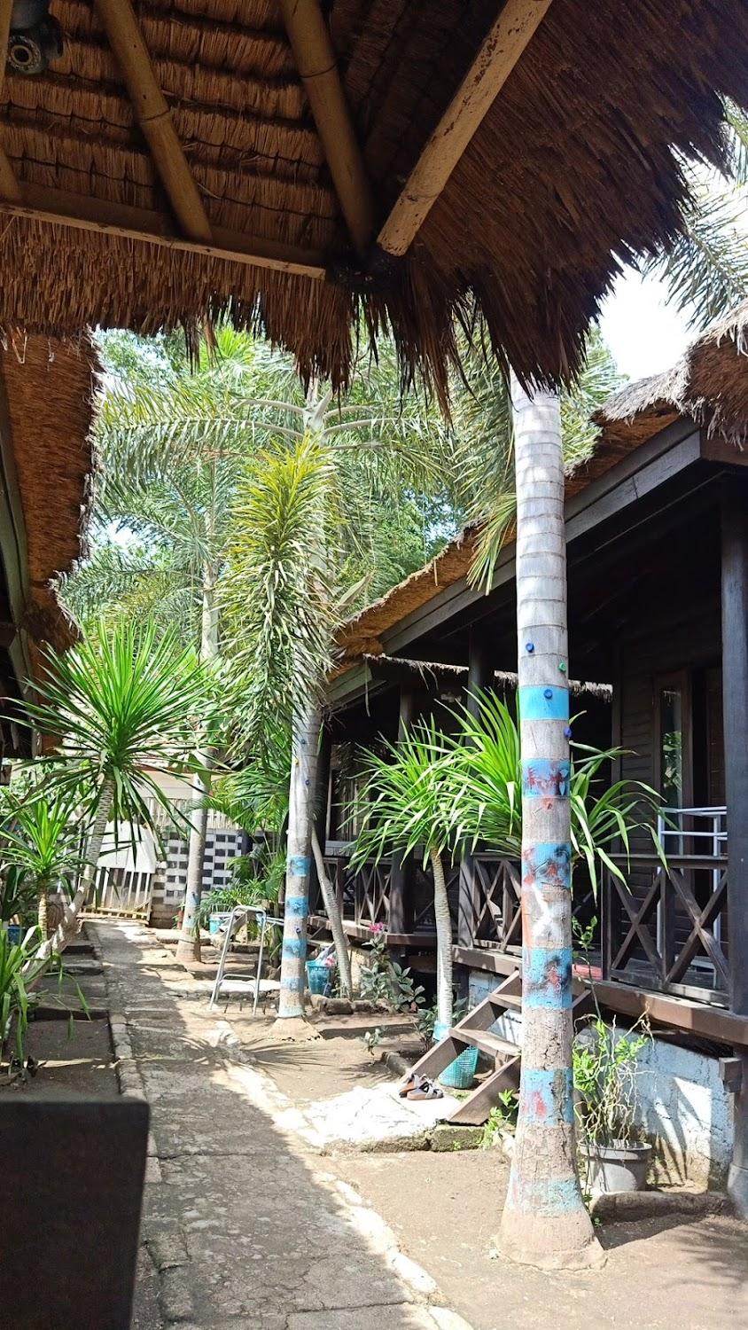 Cover Image for Ảnh At a glance