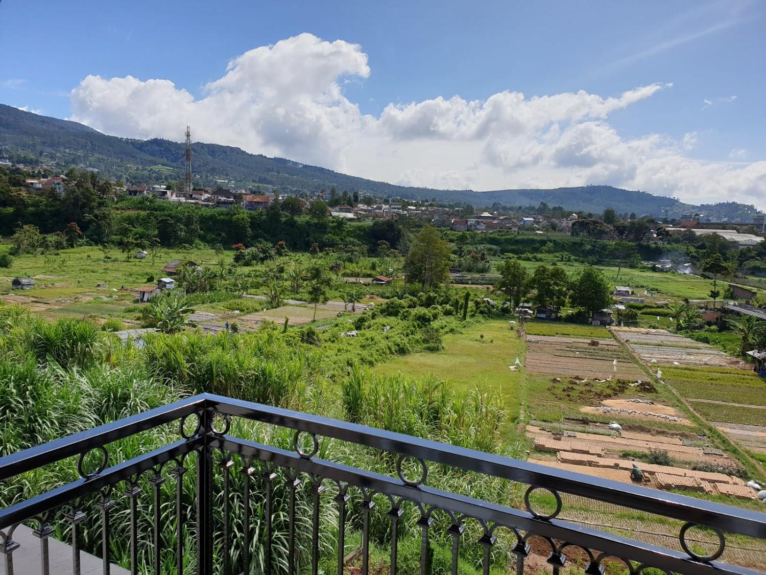 Cover Image for Backyard Villa