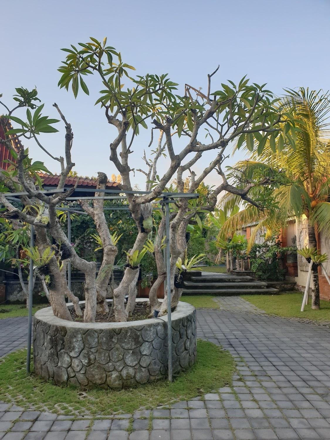 Cover Image for The Garden Villa