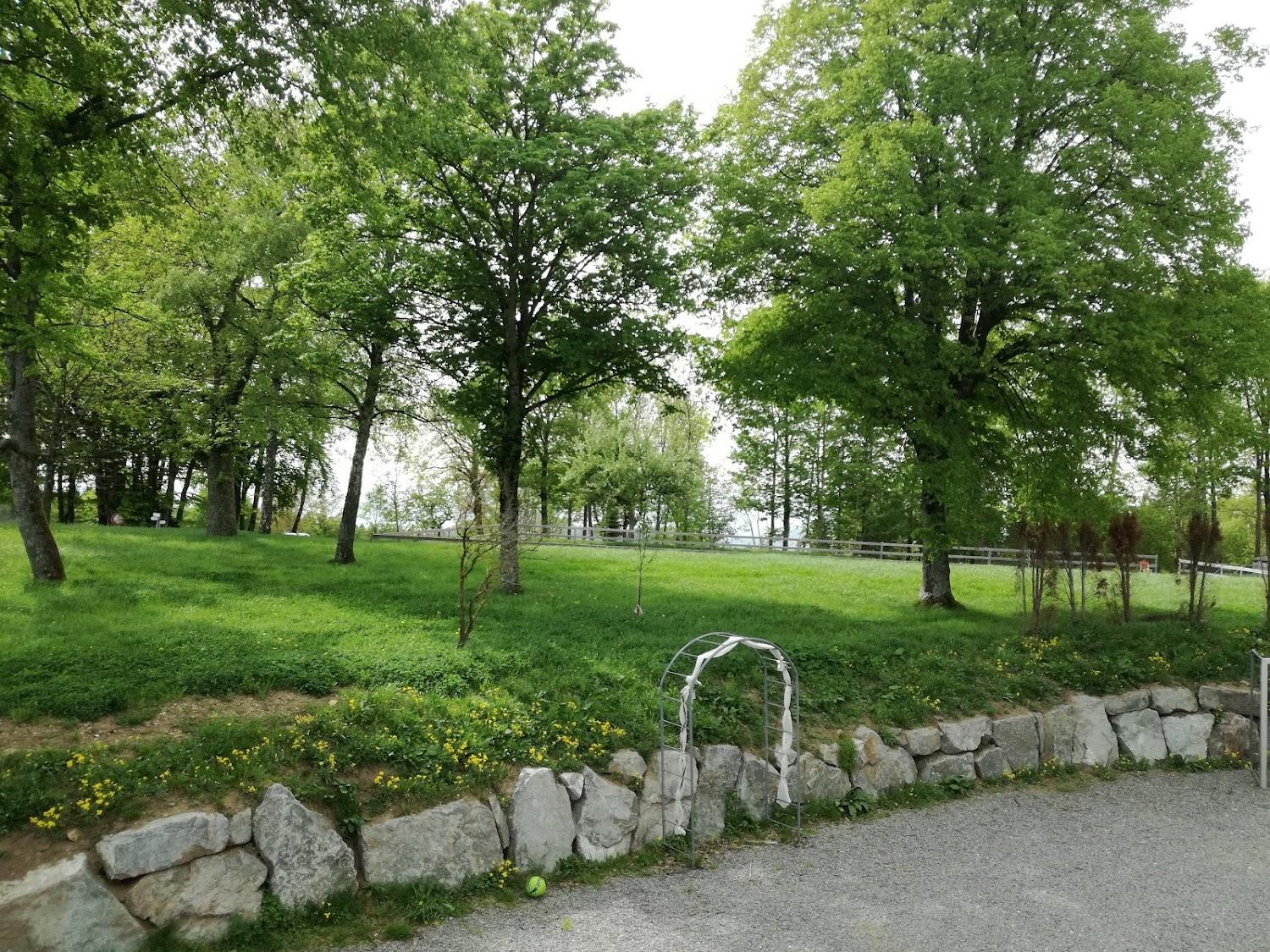 Cover Image for Nillhof