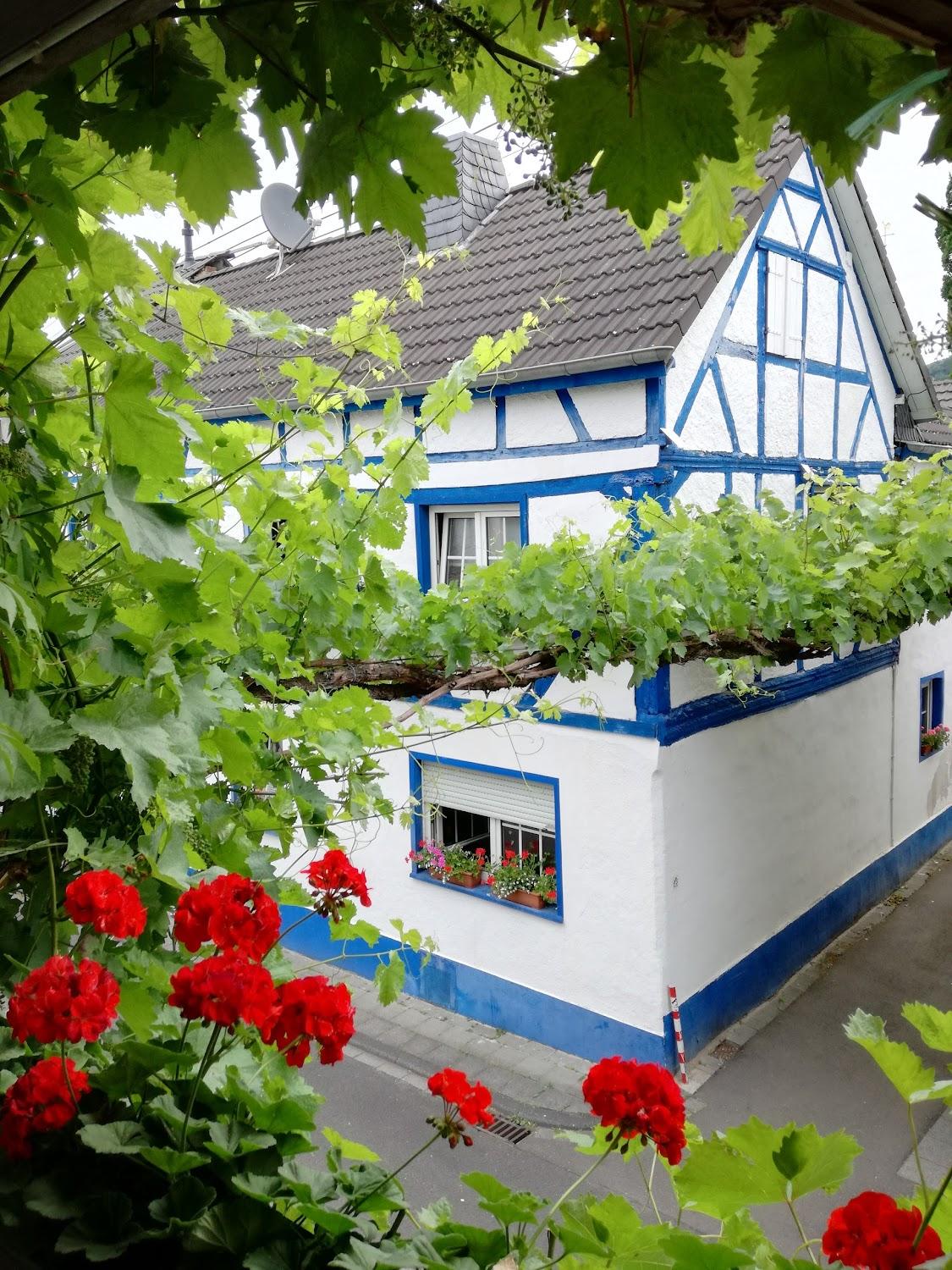 Cover Image for Appartements / Ferienwohnung im Weinhaus Schäfer