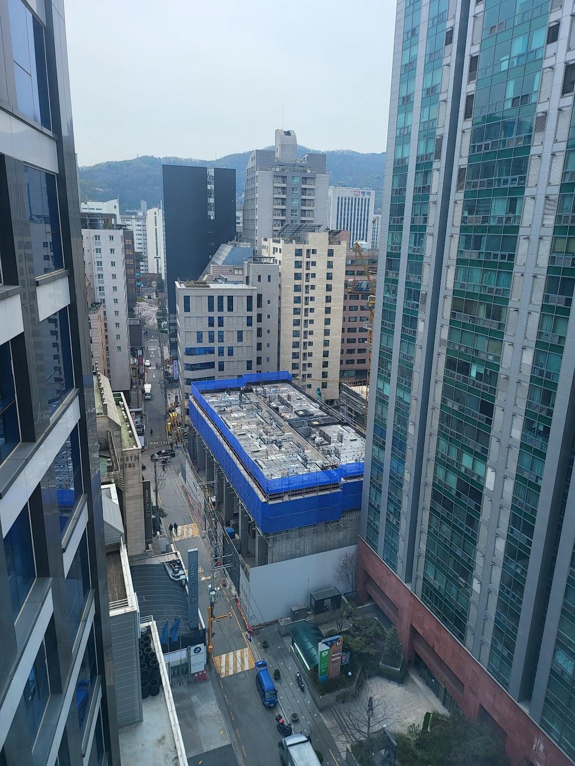 Cover Image for Zizel Signity Seocho