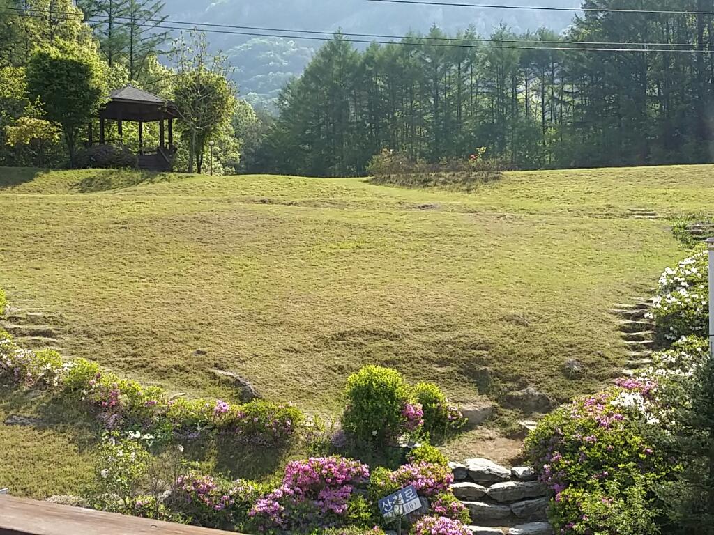 Cover Image for 펜션서해성