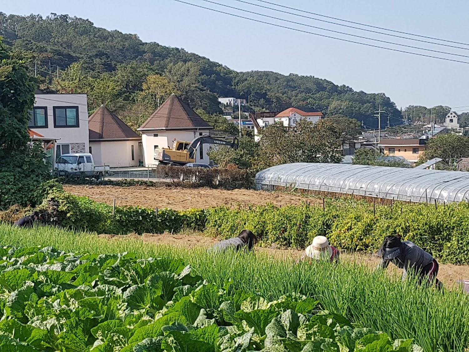Cover Image for 아뜰리에