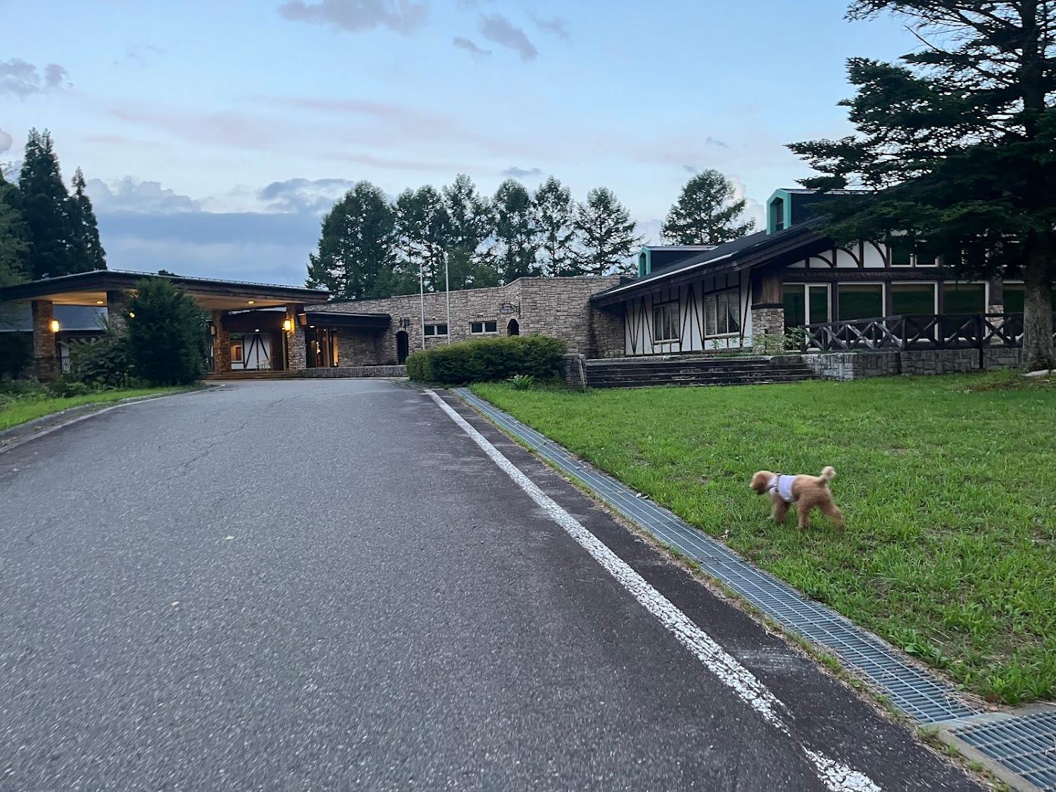Cover Image for WHITE HOTEL GRAND HAKUBA
