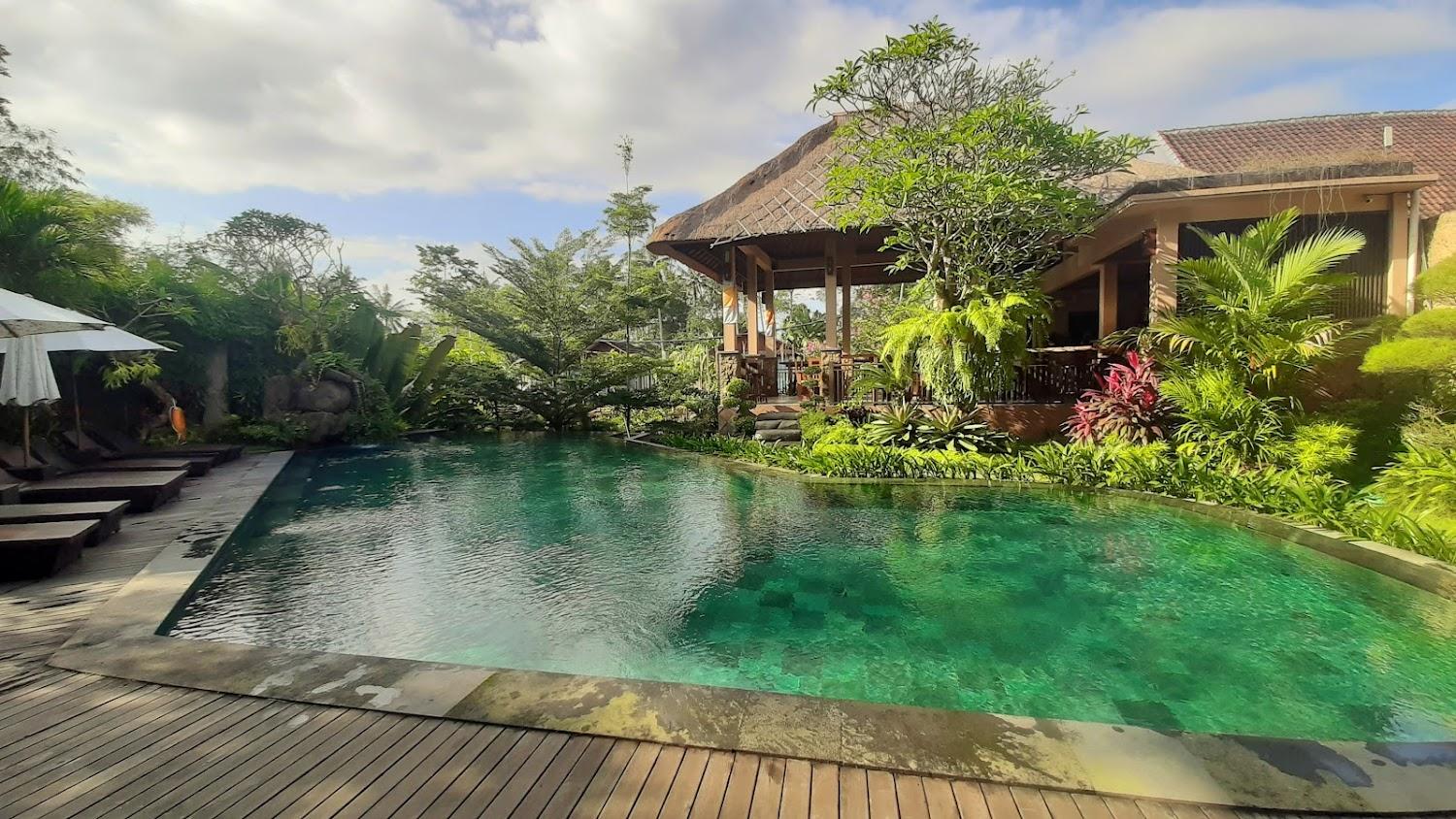 Cover Image for The Mudru Resort