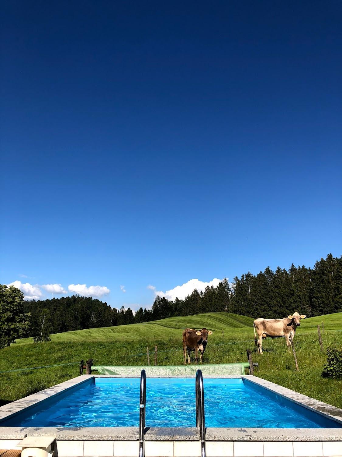 Cover Image for Ferienhof Mangold