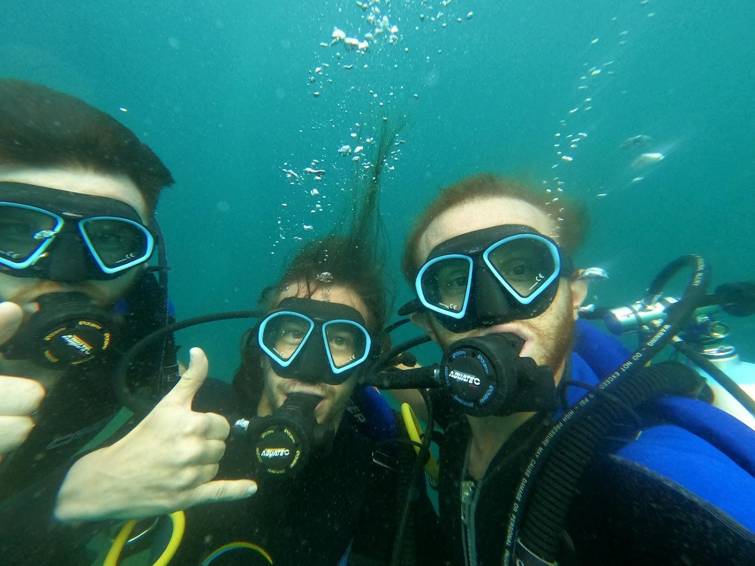 Cover Image for Escape Divers Hostel and Dive Centre