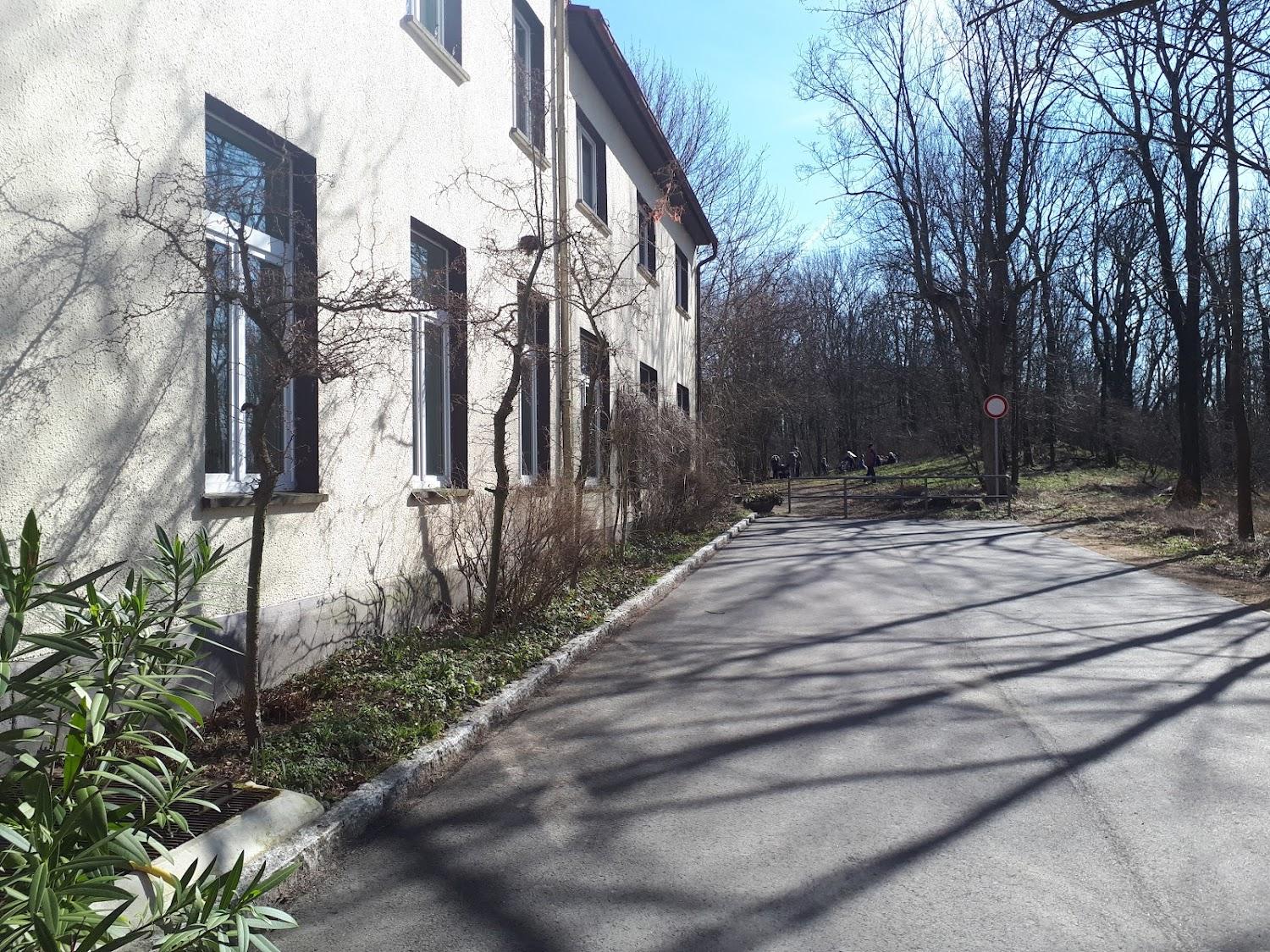 Cover Image for Berghotel Rotstein