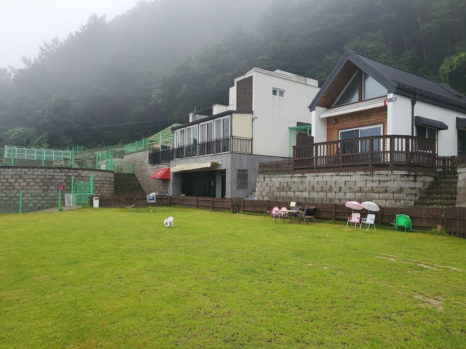 Cover Image for 편안하개 애견펜션