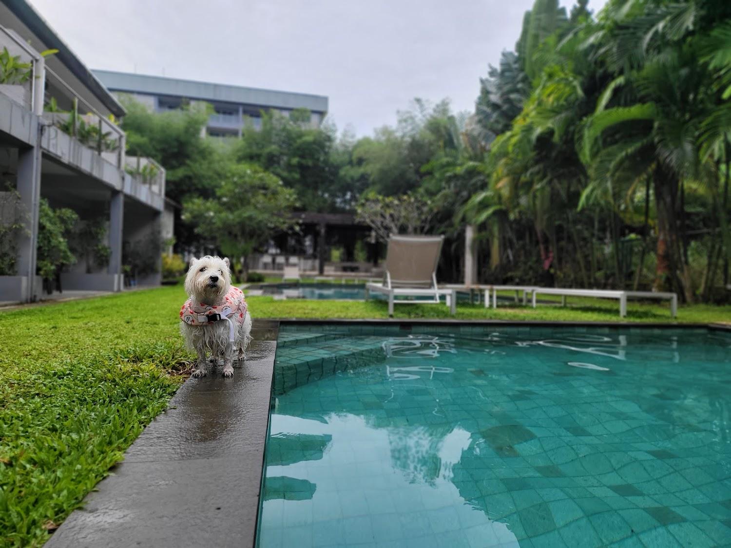 Cover Image for Isara Khao Lak