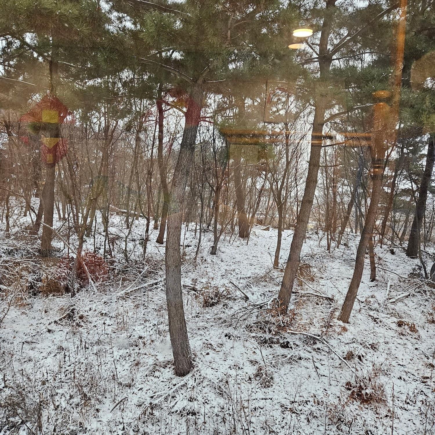 Cover Image for 대부도펜션 펜피
