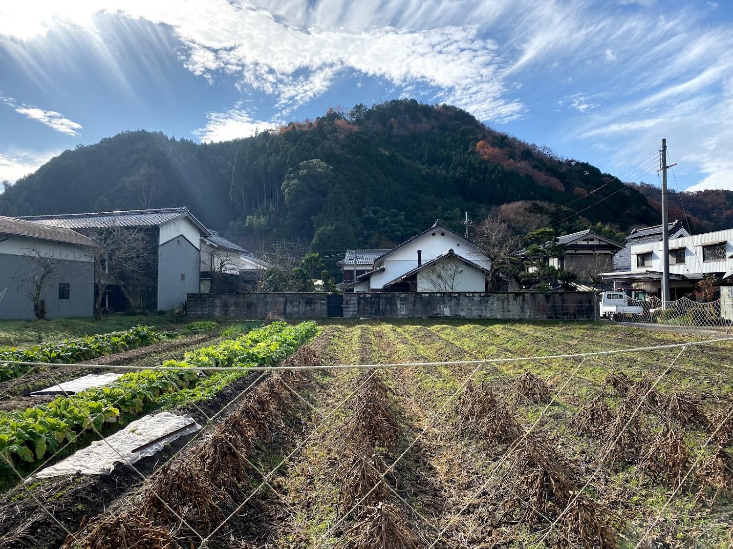 Cover Image for Aoashi GUEST HOUSE