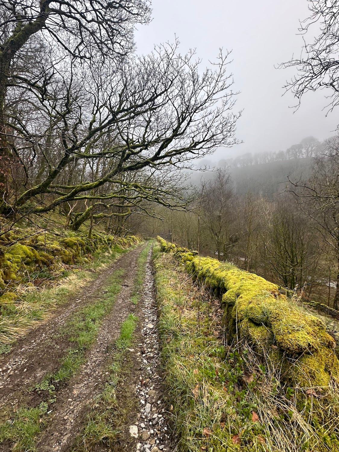 Cover Image for The Old Barn